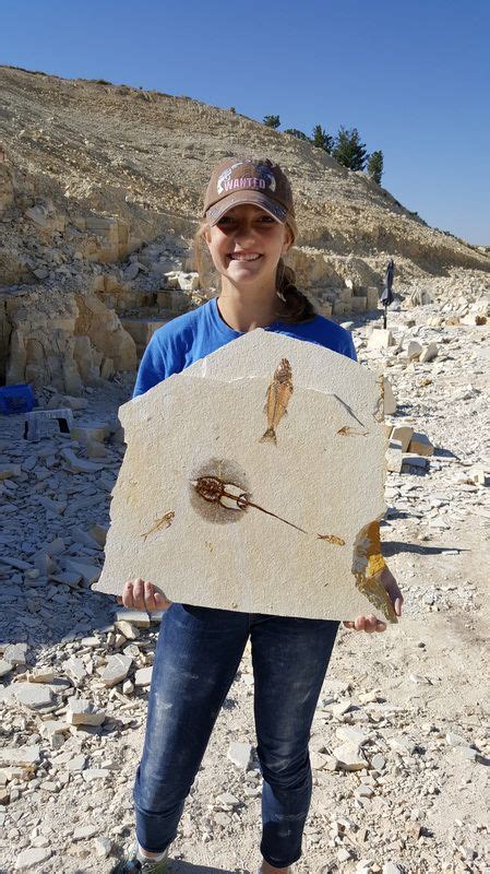 american fossil quarry kemmerer wyoming.